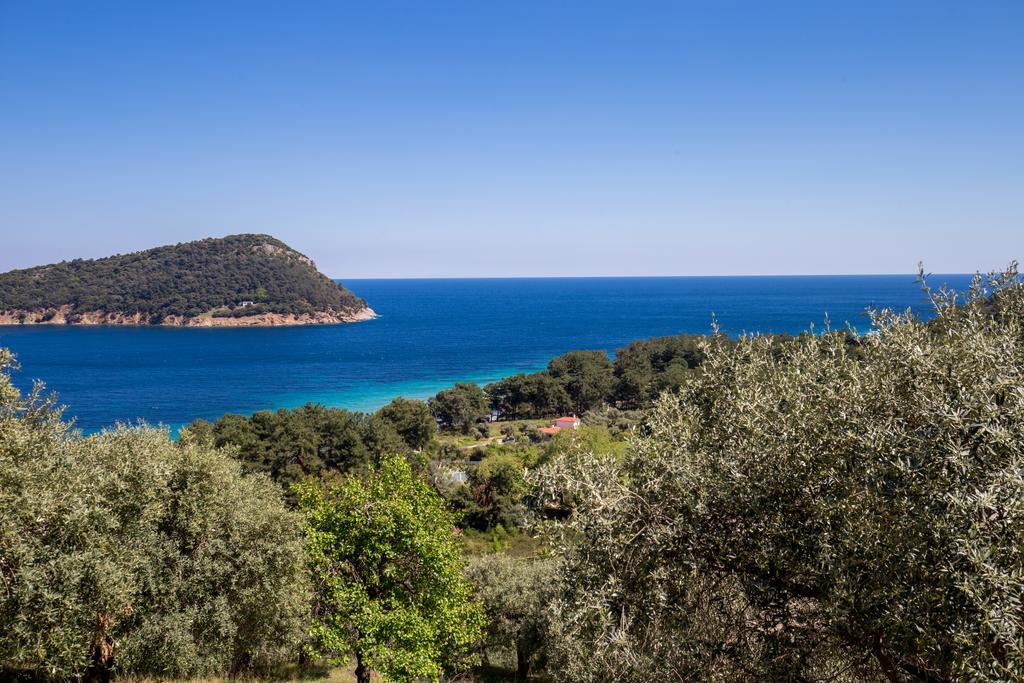 Aphrodite Case de vacanță *